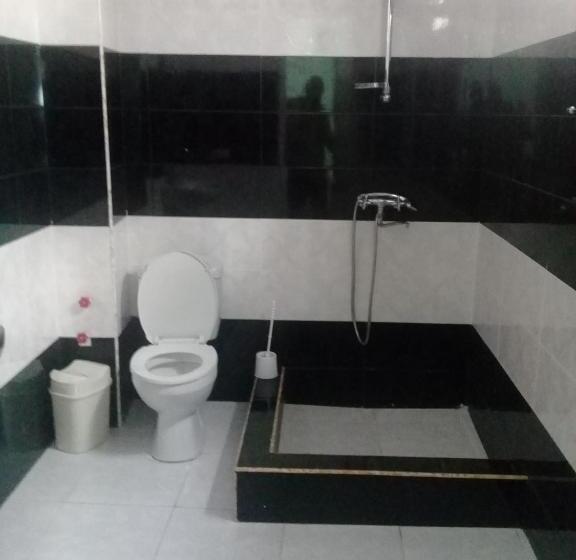 اتاق استاندارد, Elmira