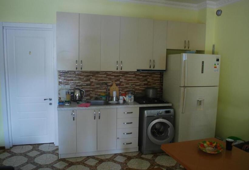 اتاق استاندارد, Elmira