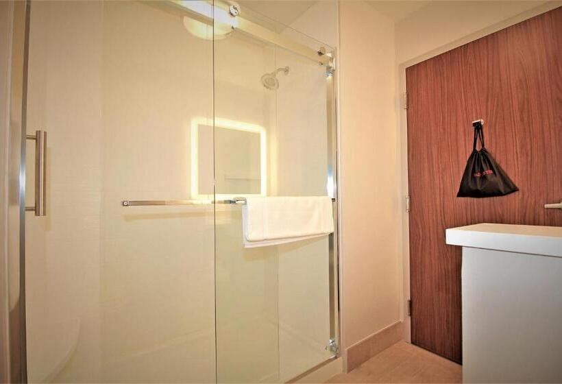 带大床的套房, Holiday Inn Express & Suites Ocala, An Ihg