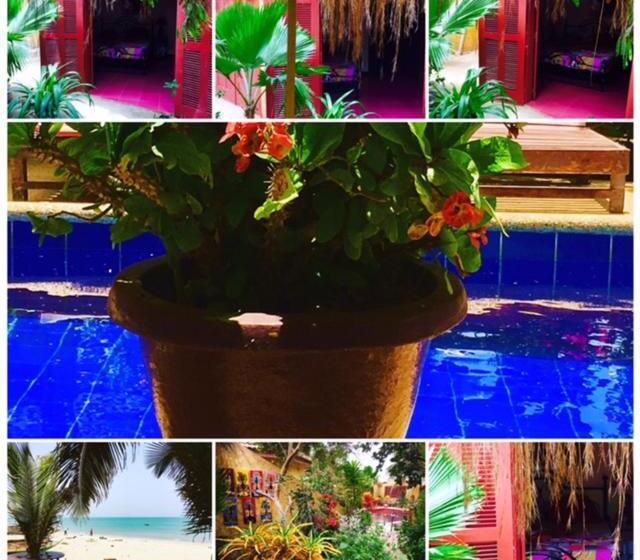 بانگلوی استاندارد 2 خوابه, Maison Couleur Passion