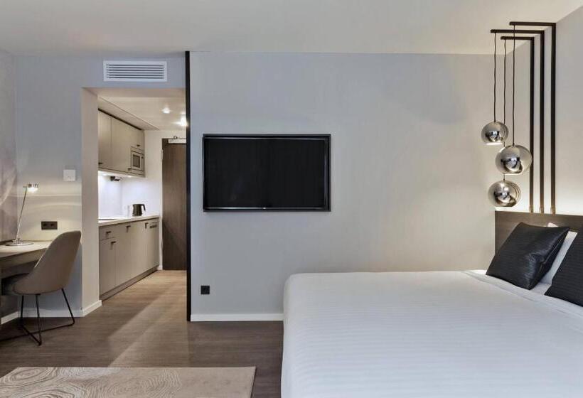 带城市景观的标准工作室, Residence Inn By Marriott Frankfurt City Center