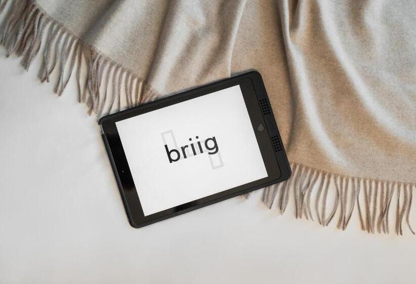 수피리어 룸 도시 전망, Briig Boutique