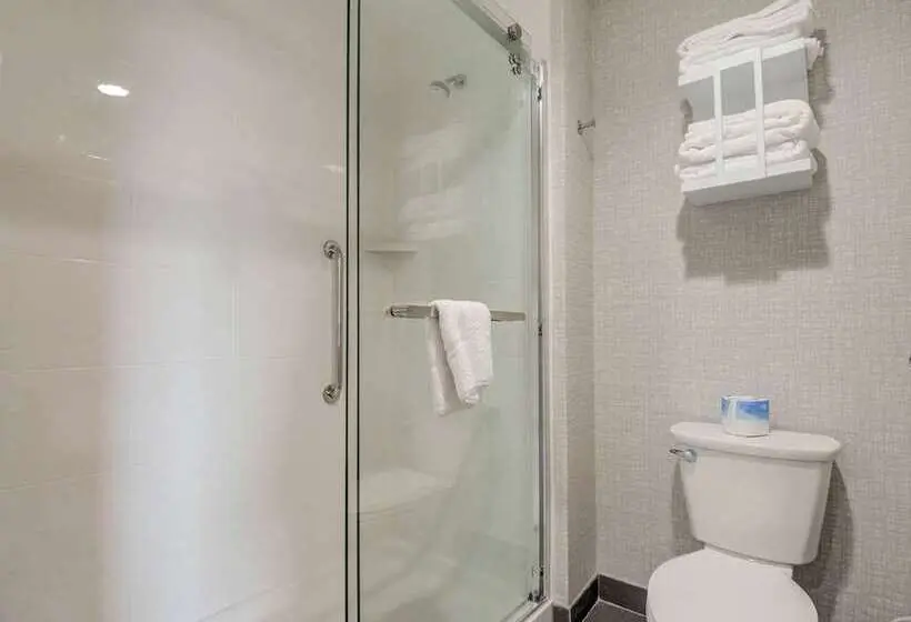 身障者適用キングサイズベッドルーム, Hampton Inn & Suites Culpeper