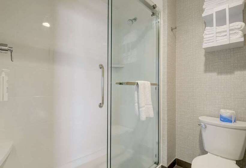 장애인을 위한 킹사이즈 침대 스탠다드 룸, Hampton Inn & Suites Culpeper