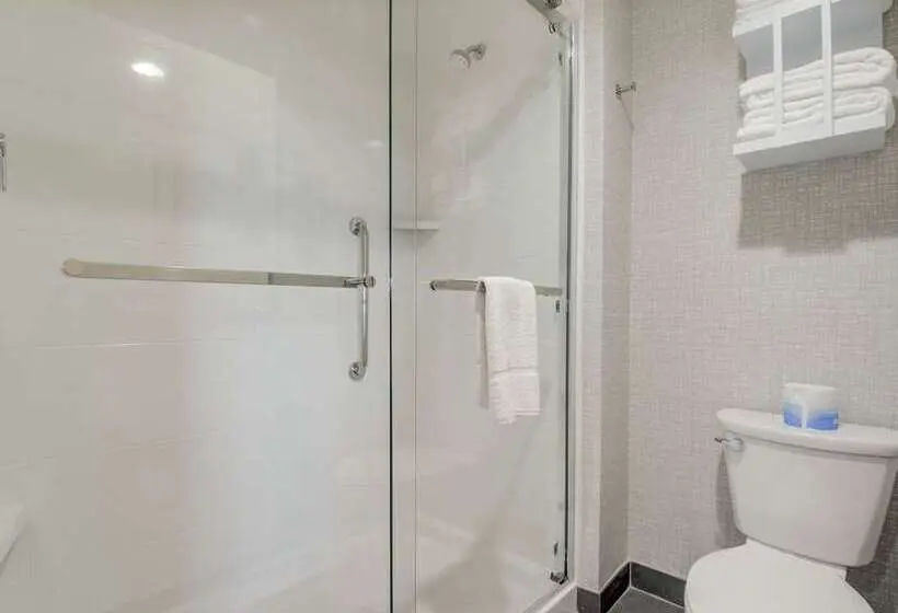 身障者適用キングサイズベッドルーム, Hampton Inn & Suites Culpeper