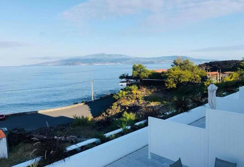 Апартаменты 1 Спальня Вид на Море, Vinhas Do Calhau