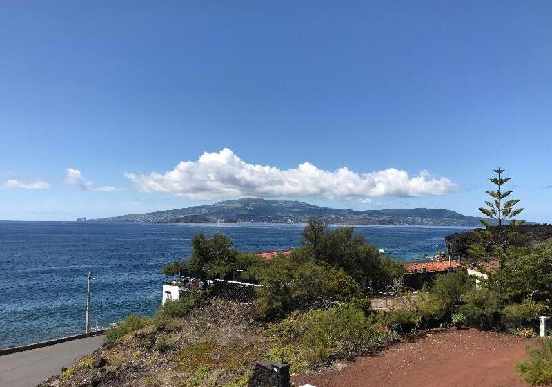 Номер Стандарт, Vinhas Do Calhau