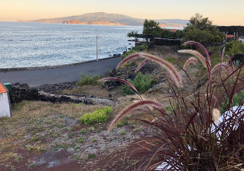 Апартаменты 1 Спальня Вид на Море, Vinhas Do Calhau