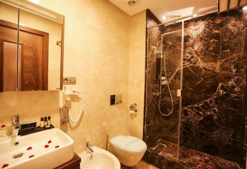سوئیت اجرایی با بالکن, Suite Hotel Casa Diamond