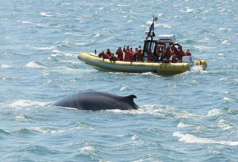 חדר סטנדרט, Hôtel Motel Le Beluga