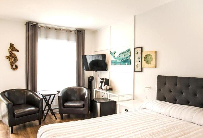 חדר סטנדרט מיטה זוגית, Hôtel Motel Le Beluga