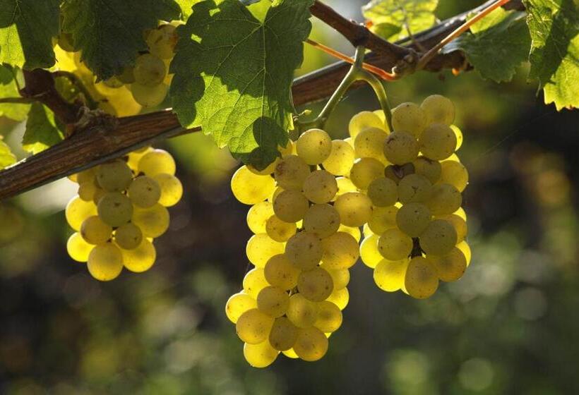 Apartamento 1 Quarto, Gasthaus Zum Hirschen