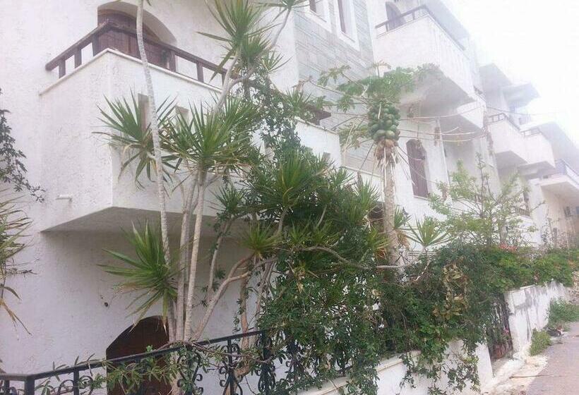 Апартаменты 1 Спальня, Irene Apartments