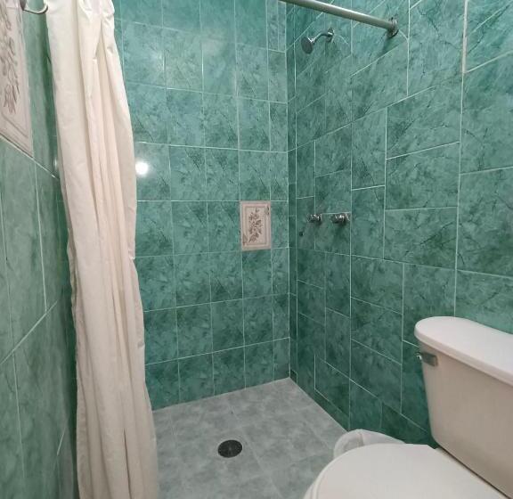 Номер Стандарт, Playa De Oro   Enfrente De Wtc Y Plazas Comerciales