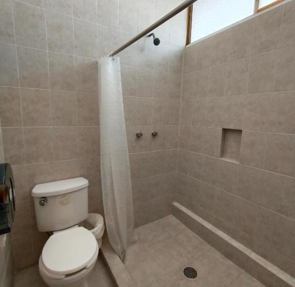 Стандартный Номер Кровать Кинг, Playa De Oro   Enfrente De Wtc Y Plazas Comerciales