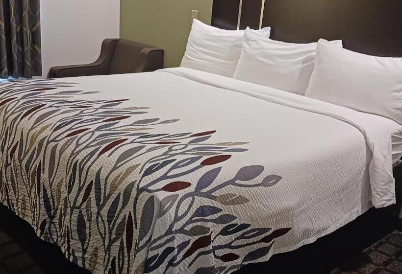 キングサイズベッドのスーペリアルーム, Red Roof Inn Baton Rouge