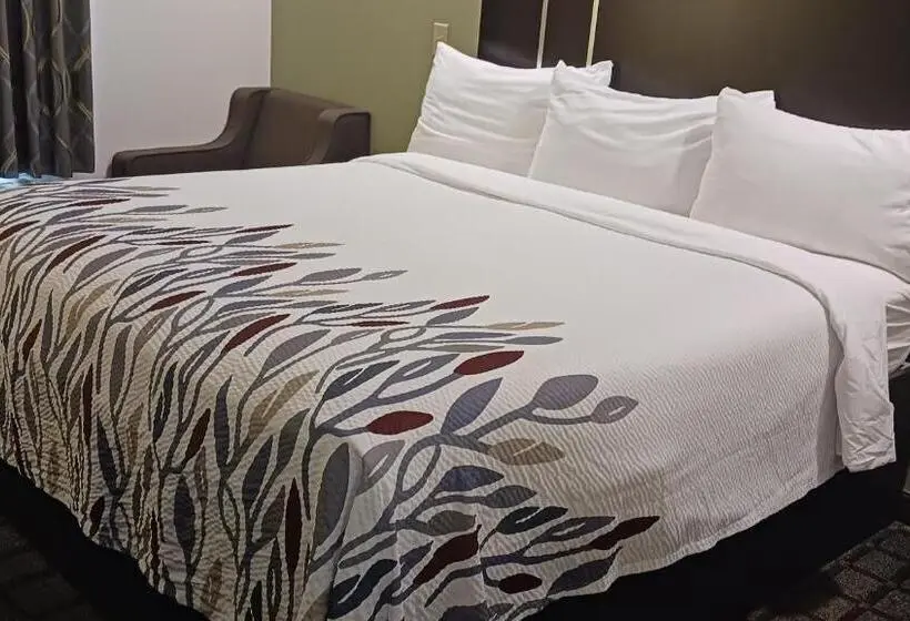 スーペリアールーム, Red Roof Inn Baton Rouge
