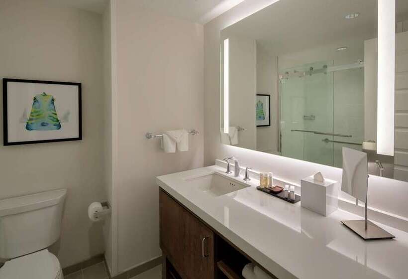 إستوديو قياسى سرير مزدوج, Embassy Suites By Hilton St Augustine Beach Oceanfront Resort