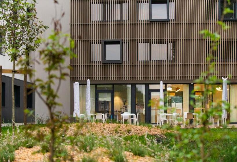 غرفة كومفورت, Enight