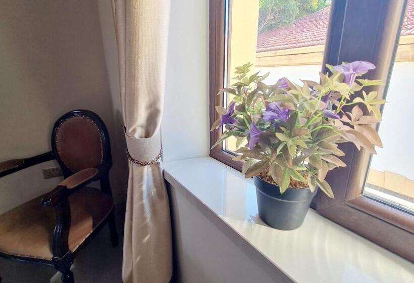 غرفة قياسية, Sofia Boutique