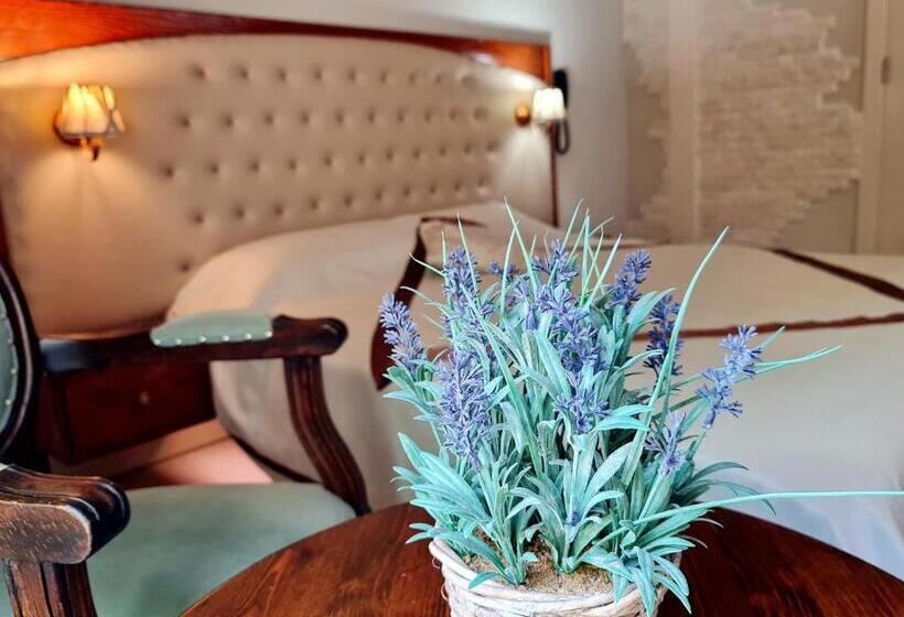 جناح, Sofia Boutique