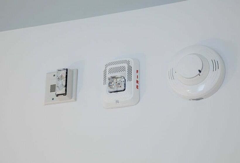 장애인을 위한 스위트, Universal’s Endless Summer Resort – Dockside Inn And Suites