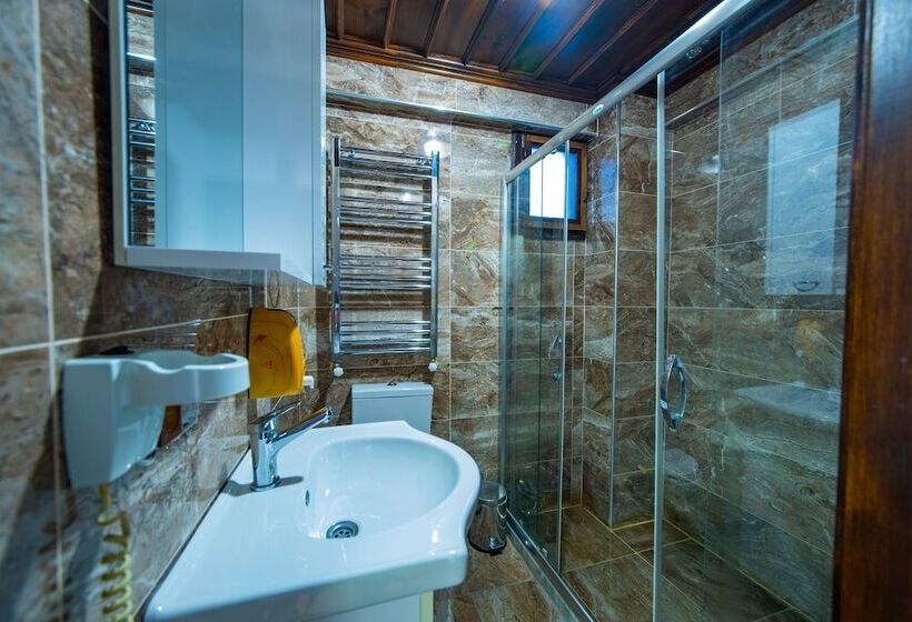 スタンダードシティビュールーム, Safranbolu Seyi̇r Konak Otel