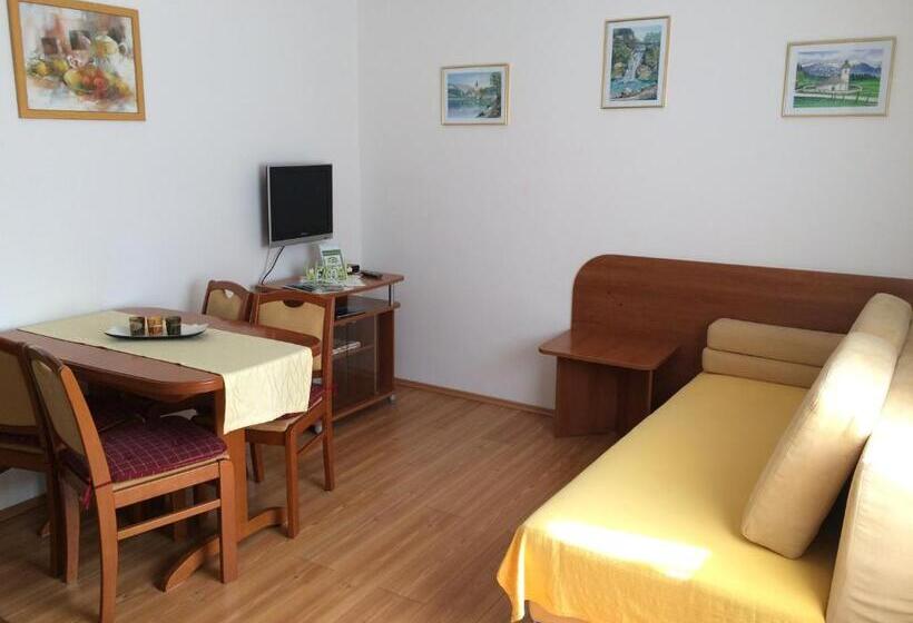 آپارتمان 1 خوابه, Apartments And Rooms Tavcar