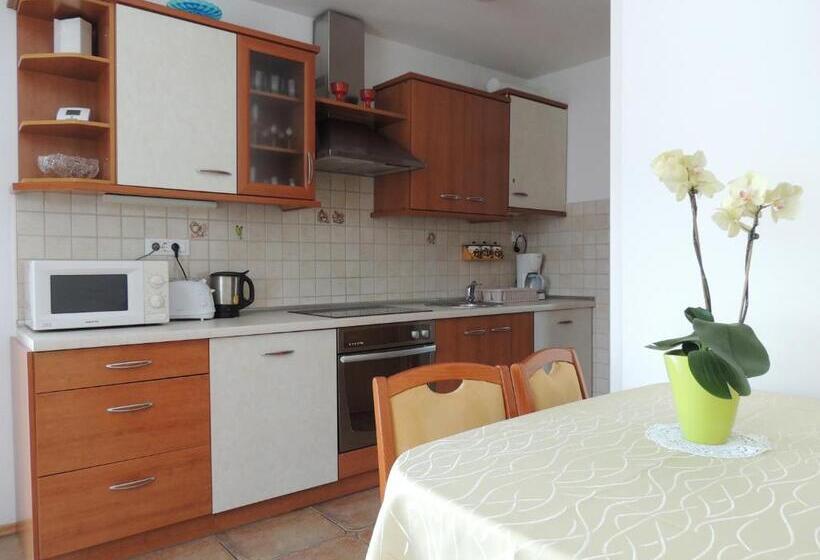 آپارتمان 1 خوابه, Apartments And Rooms Tavcar