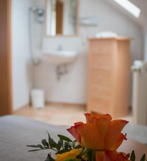 이코노미 쿼드러플룸(공용 화장실), Bremerhof