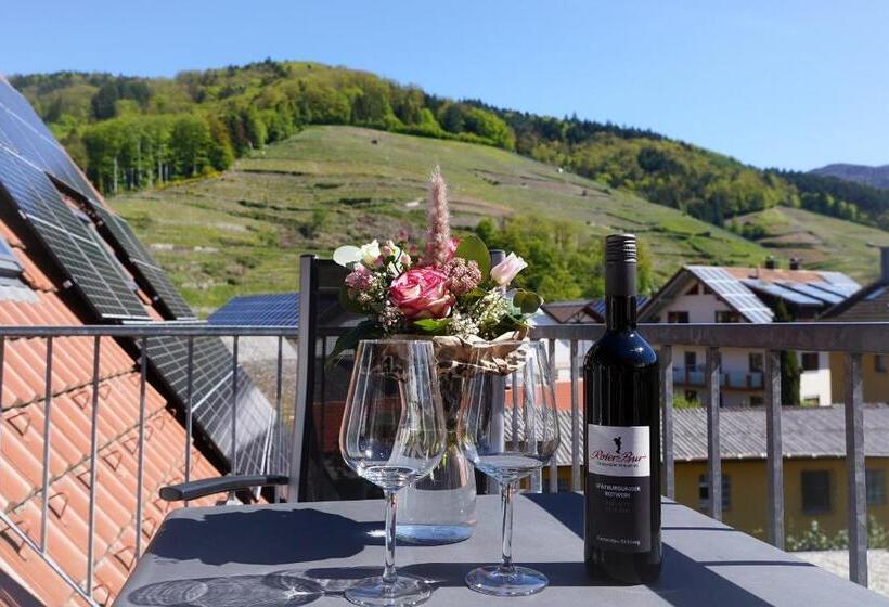 شقة غرفة واحدة, Haus Sonja