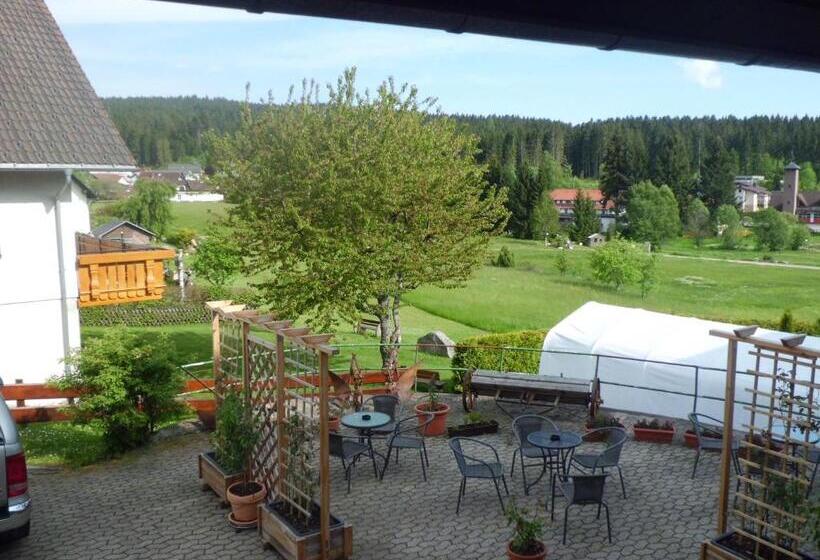 Апартаменты 1 Спальня, Pension Wiesengrund