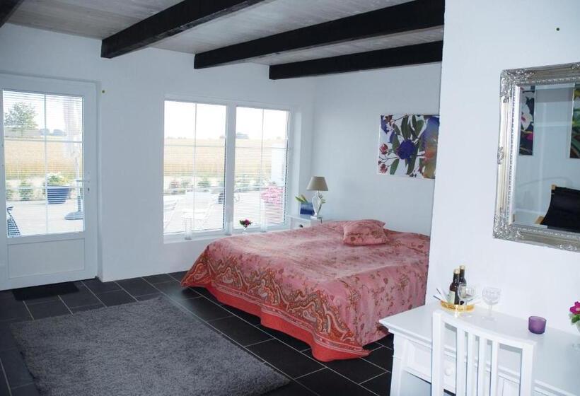 Camera Standard, Vallebergaslätt