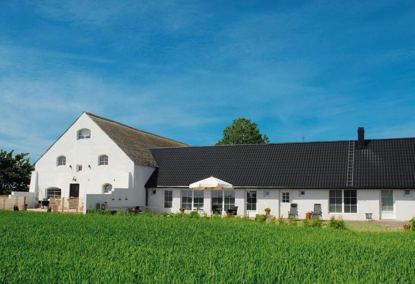 Habitació Estàndard, Vallebergaslätt