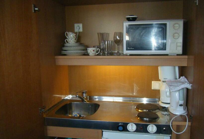 آپارتمان 1 خوابه با بالکن, Landhaus Griesser