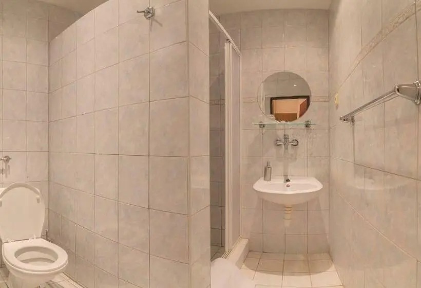 اتاق استاندارد, Penzion Benatky