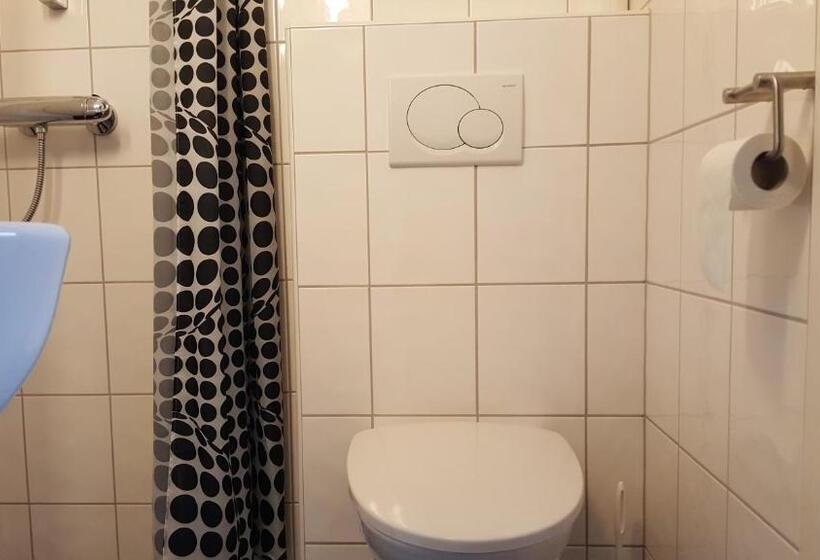 スタンダードシングルルーム, Skeisvang Gjestgiveri