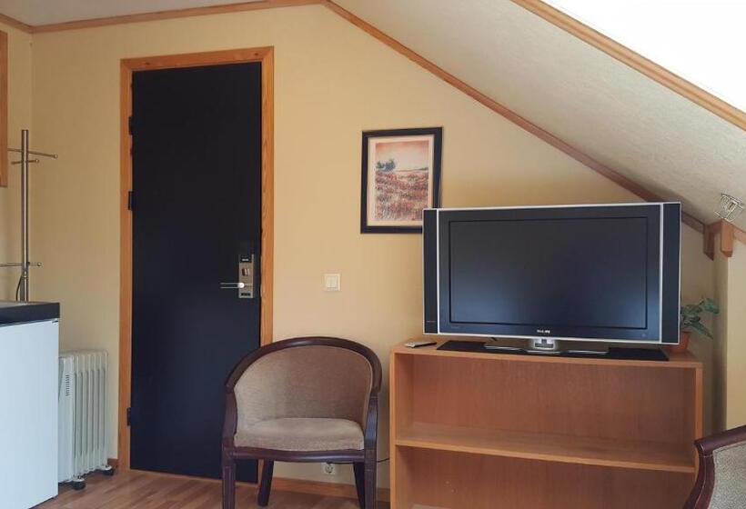 スタンダードルーム, Skeisvang Gjestgiveri