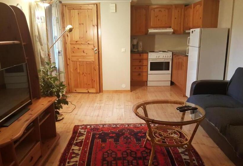 １ベッドルームアパートメント, Skeisvang Gjestgiveri