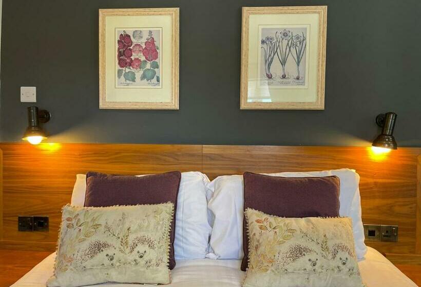 חדר סטנדרט, The Jug And Bottle