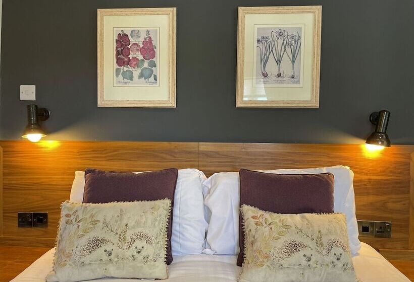 חדר סטנדרט, The Jug And Bottle