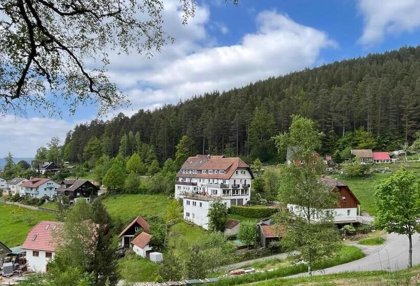 شقة غرفتين, Pension Garni Talblick