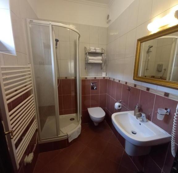 اتاق استاندارد, Pension Premium