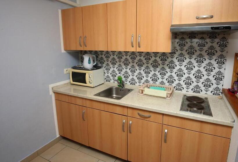 آپارتمان 1 خوابه, Apartments Furman Self Check In