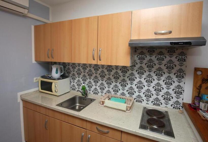 آپارتمان 1 خوابه, Apartments Furman Self Check In