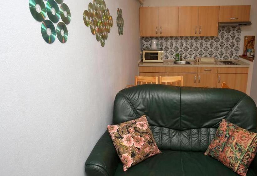 آپارتمان 1 خوابه, Apartments Furman Self Check In