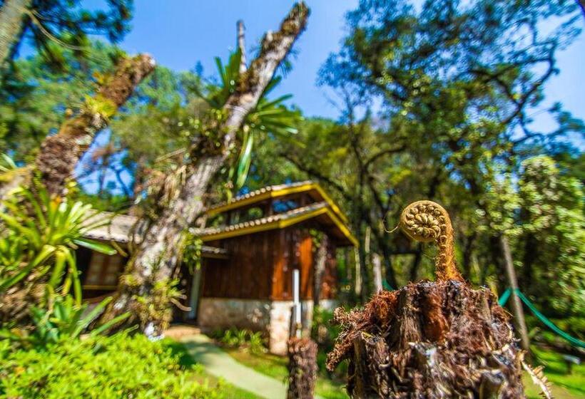 Шале Superior 1 Спальня, Pousada Villa D'amore