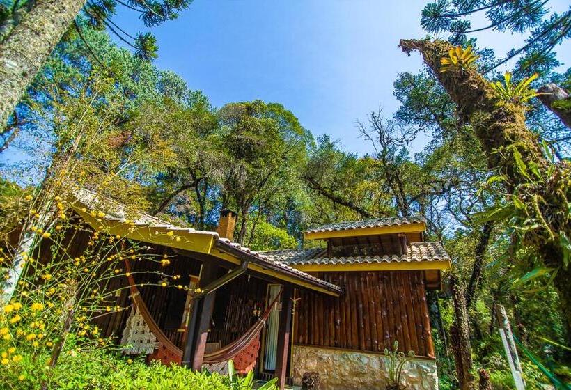 בקתת סופריור בת חדר 1, Pousada Villa D'amore