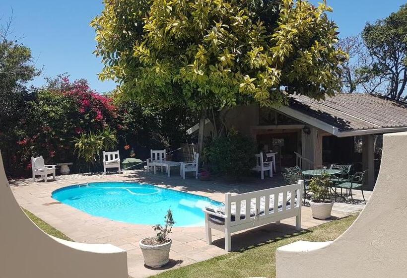 اتاق استاندارد با چشم‌انداز استخر, Villa Vista Guest House