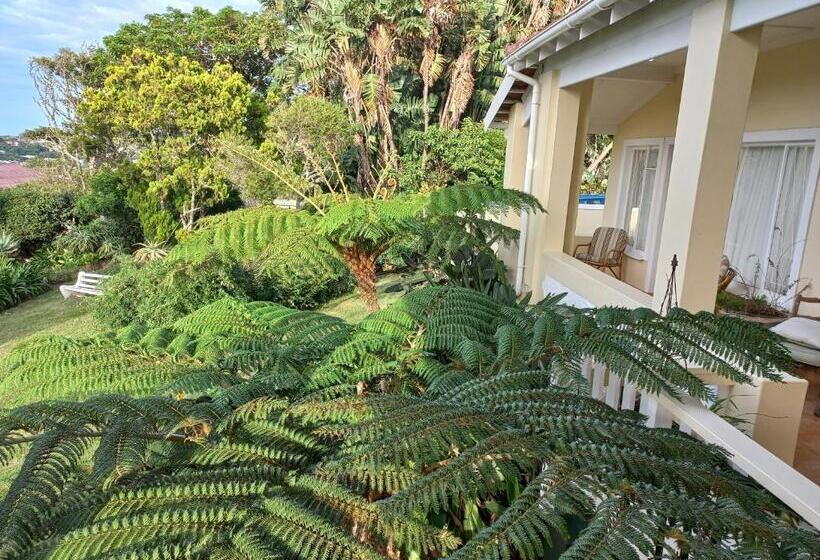 اتاق لوکس با چشم‌انداز دریا, Villa Vista Guest House